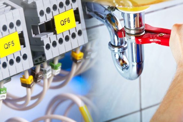 1156b19b992348eea67e2a9b575f2f1b